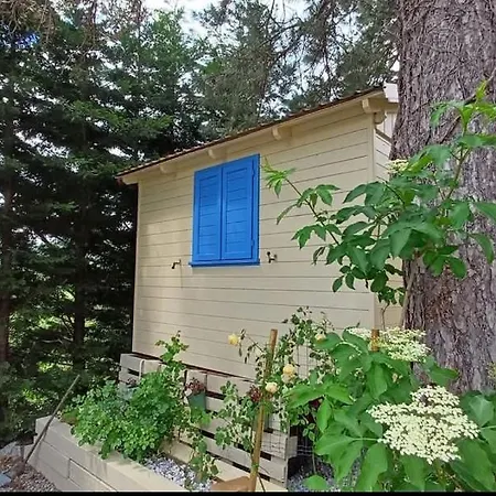 Mobile House On A Herbs Farm
