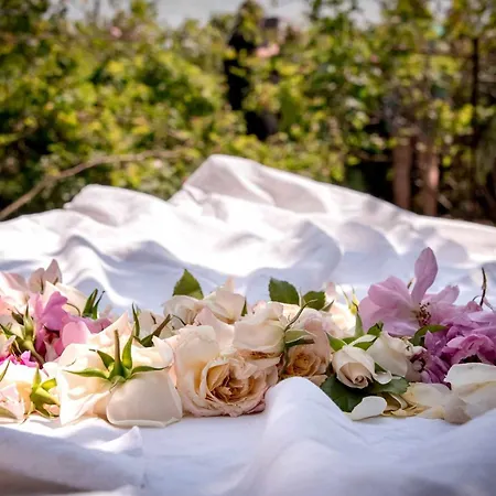 Mobile House On A Herbs Farm * Ajdovščina