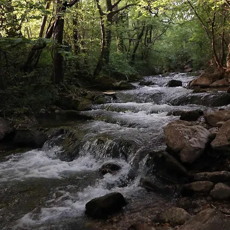 Campo de lujo Mobile House On A Herbs Farm Ajdovščina