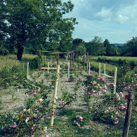 Mobile House On A Herbs Farm *