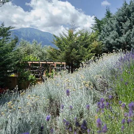 Campo de lujo Mobile House On A Herbs Farm