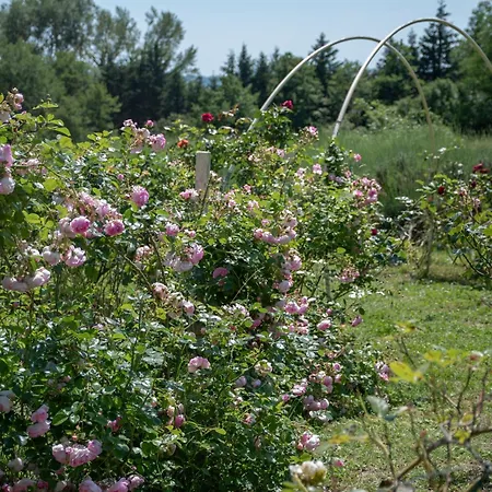 Mobile House On A Herbs Farm *