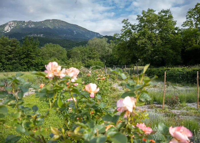 Mobile House On A Herbs Farm Glamping *