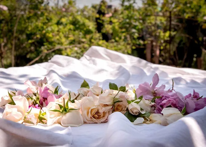 Mobile House On A Herbs Farm * Ajdovščina