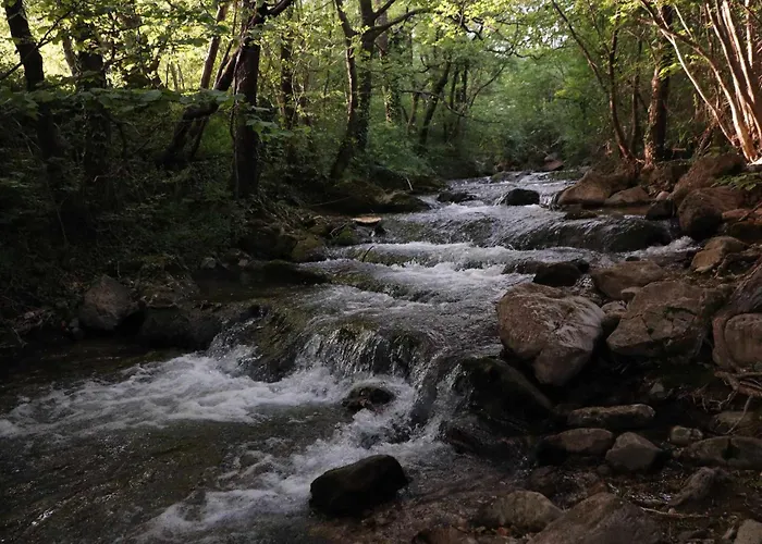 Luxe tent Mobile House On A Herbs Farm Ajdovščina