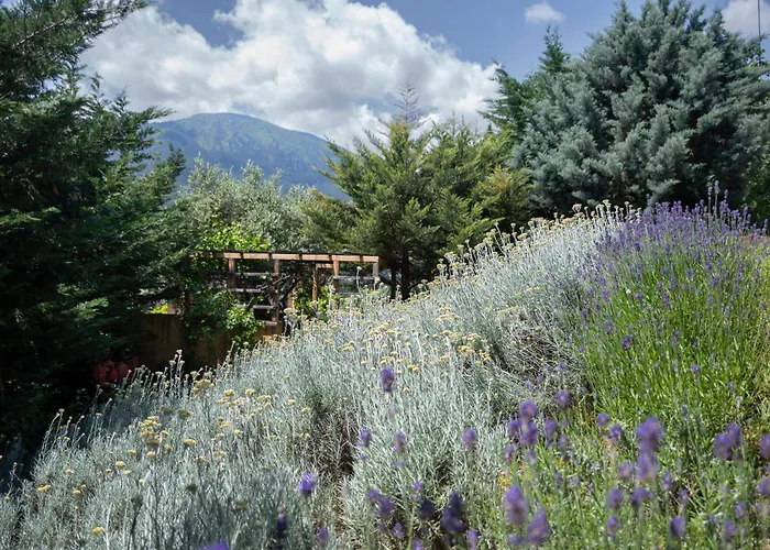 Glamping Mobile House On A Herbs Farm
