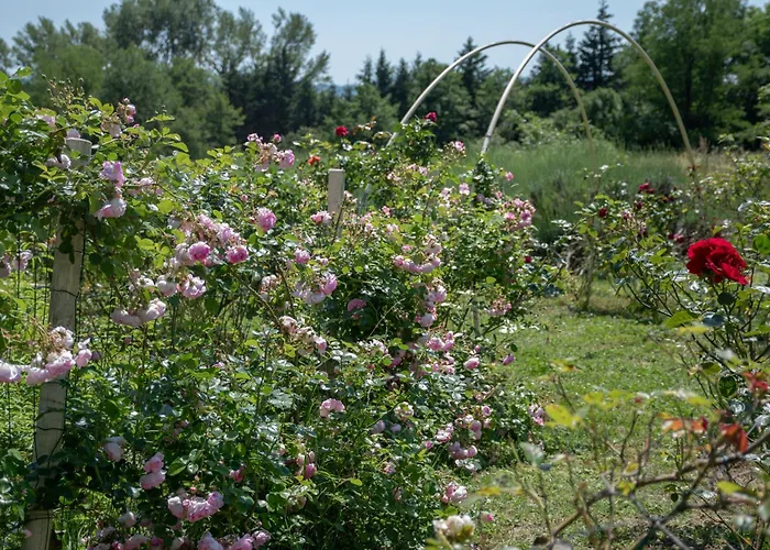 Mobile House On A Herbs Farm *